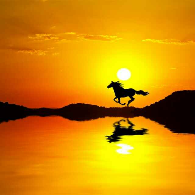 比赛集锦:西班牙人 3-1 索尔亚